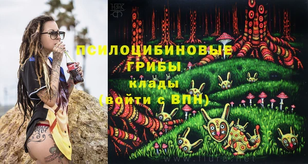 ешки Бронницы
