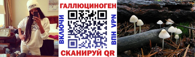 закладки  Сургут  Псилоцибиновые грибы Cubensis 